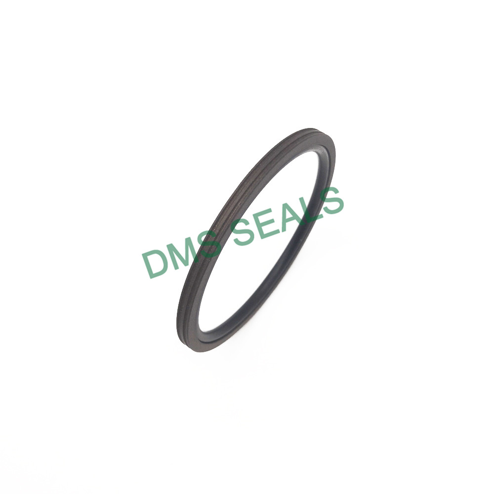 Вращающееся подвижное кольцо гидравлического цилиндра Уплотнение Gns из PTFE
