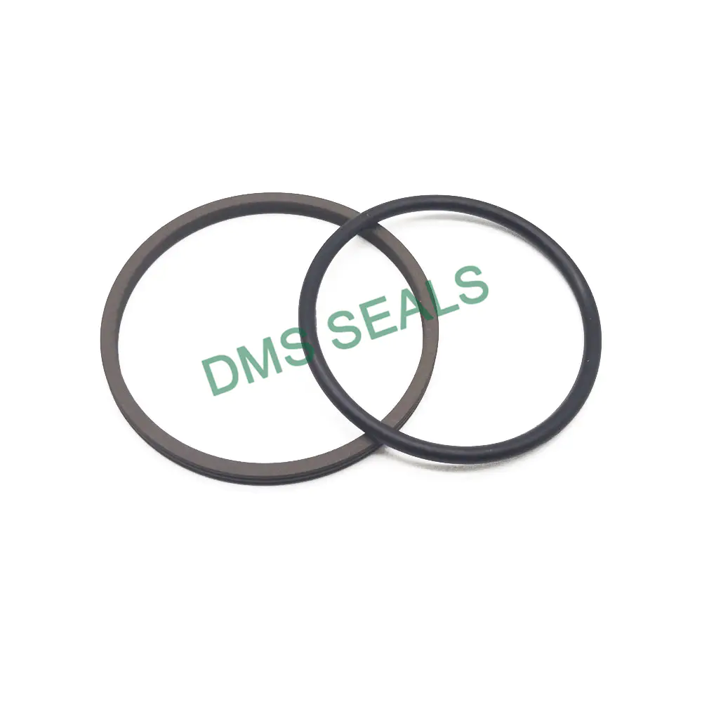 High Speed Cylinder Rotating PTFE Seals Gns