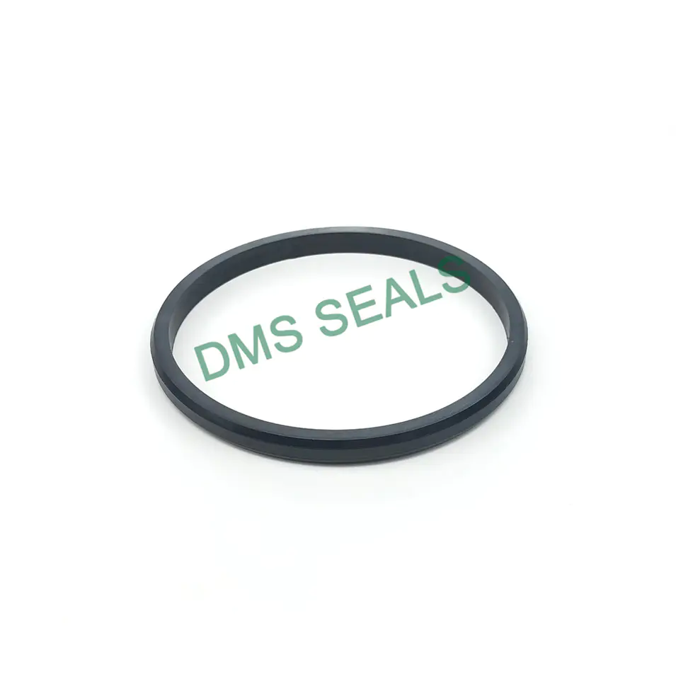 Wholesale D type sealing ring With Good Price-DMS Seals