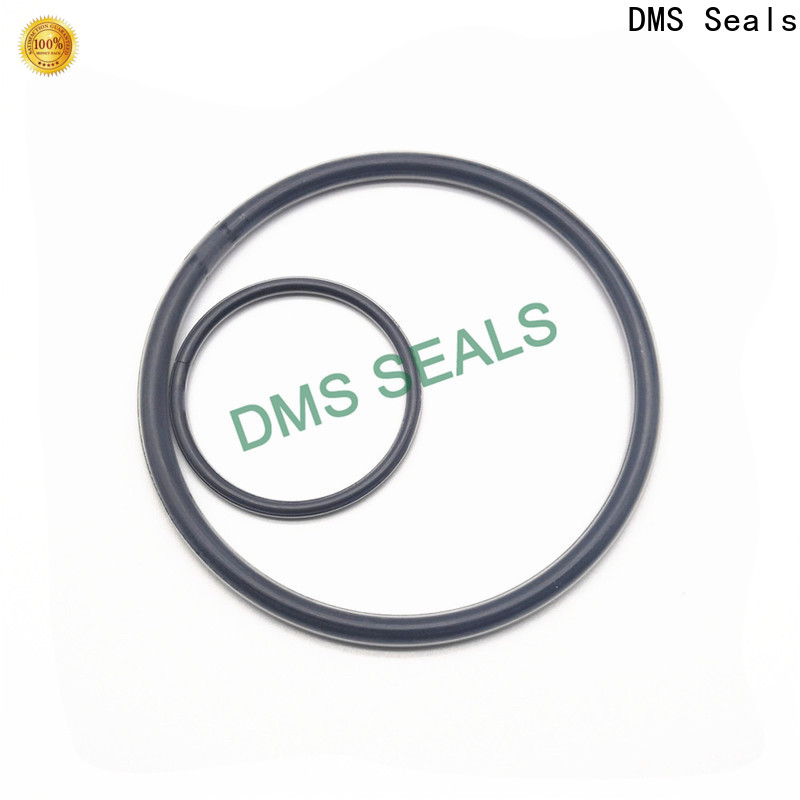 DMS Seals o ring stockist in highly aggressive chemical processing