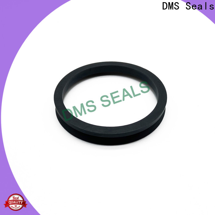 DMS Seals hydraulic cylinder seal kits for sale