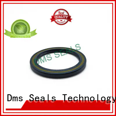DMS Seal Manufacturer professional large rubber seal with a rubber coating for housing
