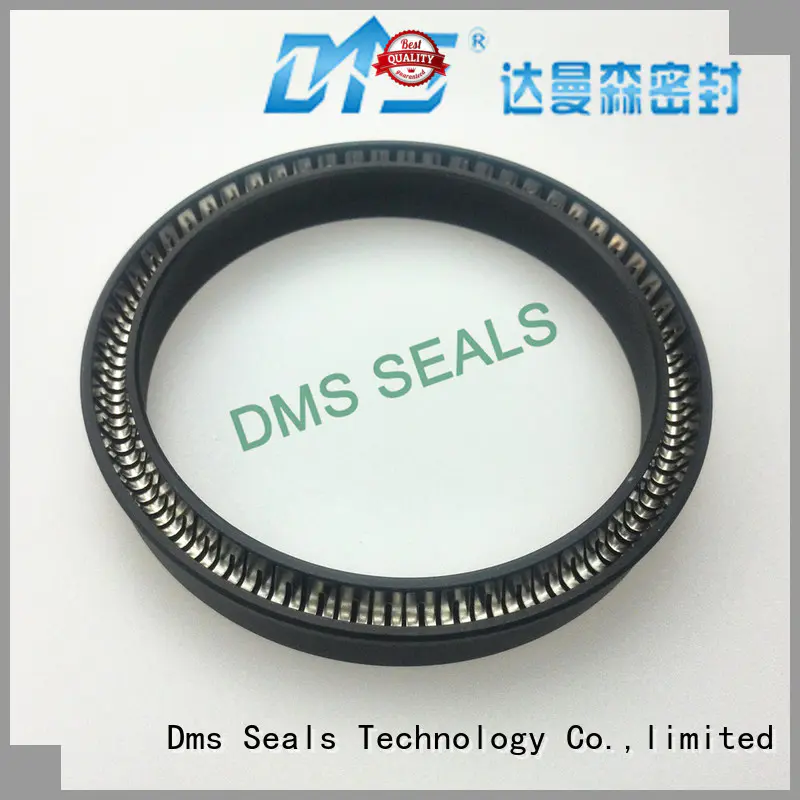 spring energized seals ptfe spring hydraulic DMS Seal Manufacturer Brand company