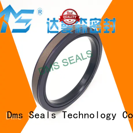 oring ptfe seal DMS Seal Manufacturer Brand pneumatic piston seals factory