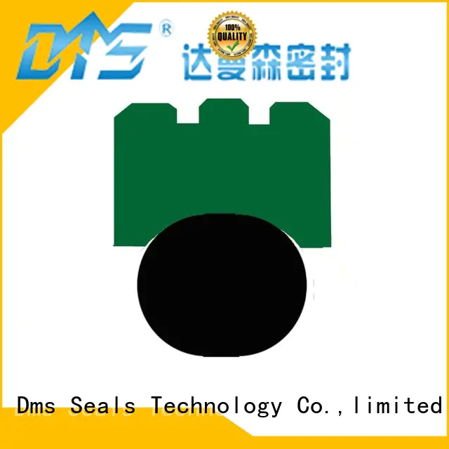DMS Seal Manufacturer high speed shaft seal Supply for automotive equipment