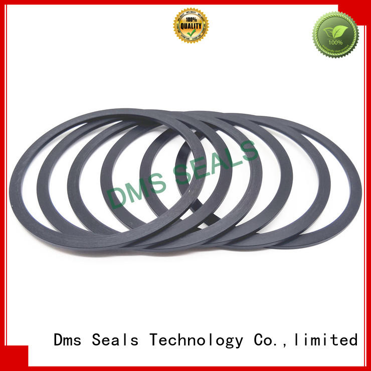 DMS Seal Manufacturer custom gaskets torque for preventing the seal from being squeezed