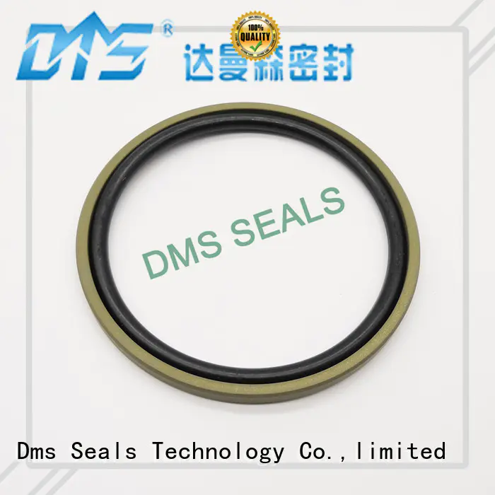 ptfe piston o ring supplier for piston and hydraulic cylinder