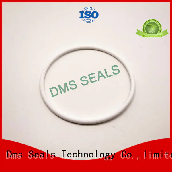 DMS Seal Manufacturer o ring kit manufacturer with a diisocyanate or a polymeric isocyanate in highly aggressive chemical processing