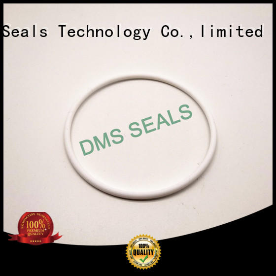 Quality DMS Seal Manufacturer Brand ptfe o-ring seal