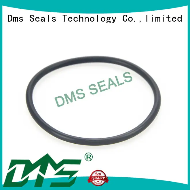 Wholesale ptfe o-ring seal DMS Seal Manufacturer Brand
