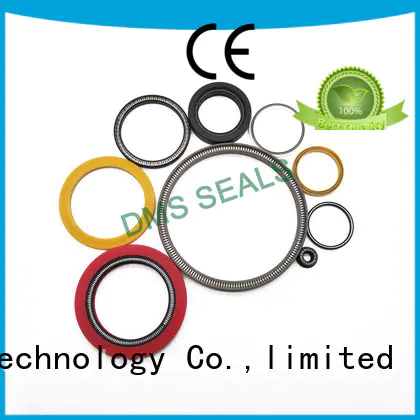 mechanical shaft seals springs Supply for reciprocating piston rod or piston single acting seal