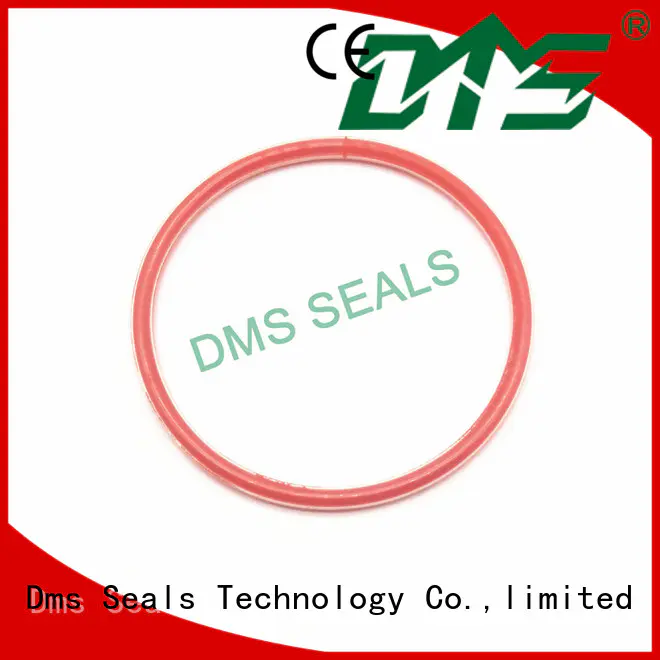 ptfe o-ring seal hydraulic DMS Seal Manufacturer company