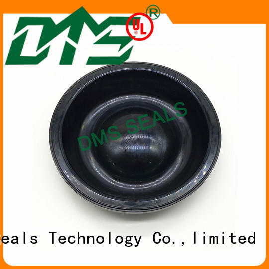 DMS Seal Manufacturer viton rubber oil seal suppliers for leakage gap