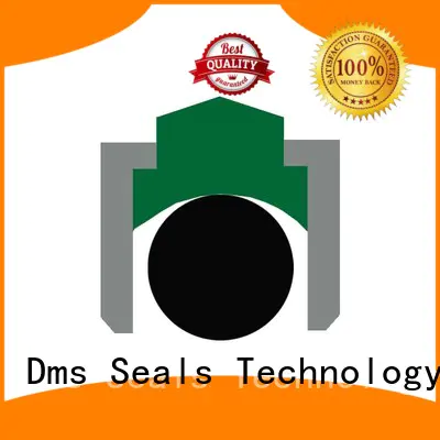 DMS Seal Manufacturer ptfe rotary seals online for automotive equipment