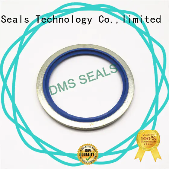 DMS Seal Manufacturer best bonded piston seal for business for fast and automatic installation