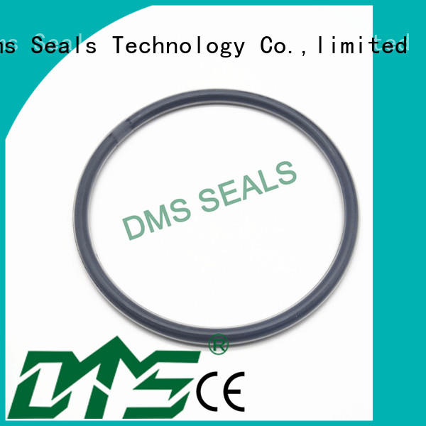 oil seal ring oring seal spring Warranty DMS Seal Manufacturer
