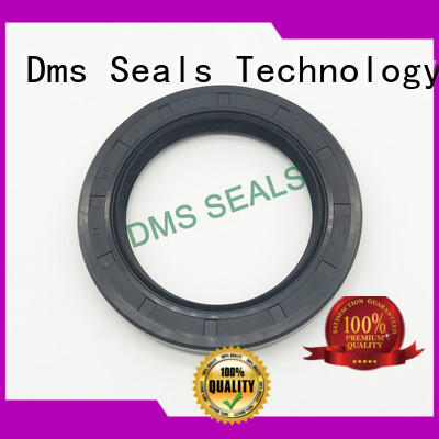 DMS Seal Manufacturer primary rubber oil seal with low radial forces for housing