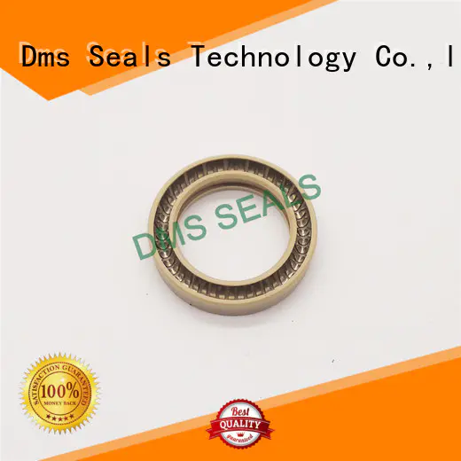 DMS Seal Manufacturer rotary seals manufacturer company for reciprocating piston rod or piston single acting seal