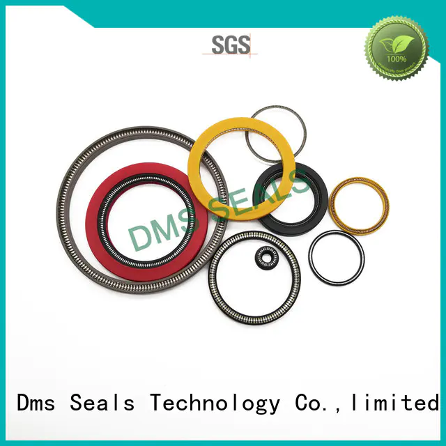 DMS Seal Manufacturer spring energized seal design for business for aviation