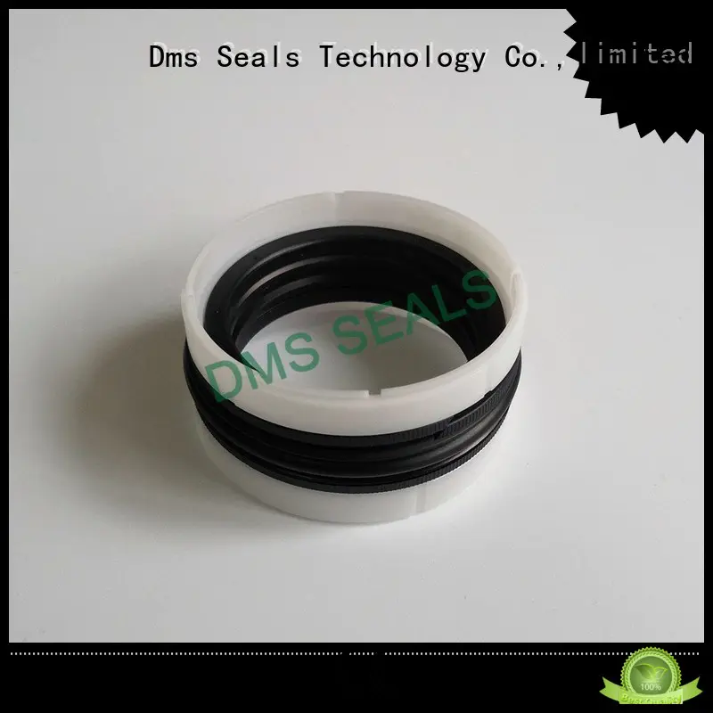 hydraulic seal pneumatic piston seals ptfe DMS Seal Manufacturer company