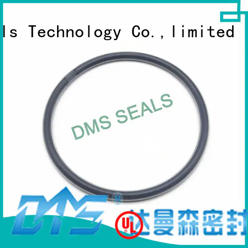 Custom ptfe spring o-ring seal DMS Seal Manufacturer oring