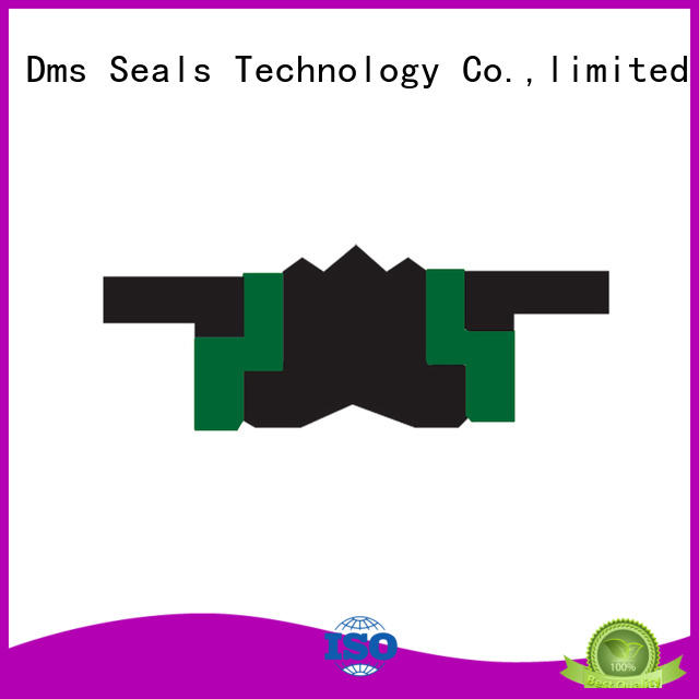 Compact Piston Seal Combined Seal TPM DAS KDAS