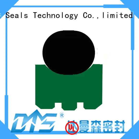 rotary seals for automotive equipment DMS Seal Manufacturer