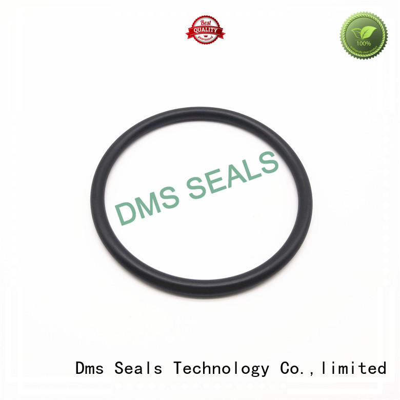 DMS Seal Manufacturer Brand ptfe oring spring custom oil seal ring