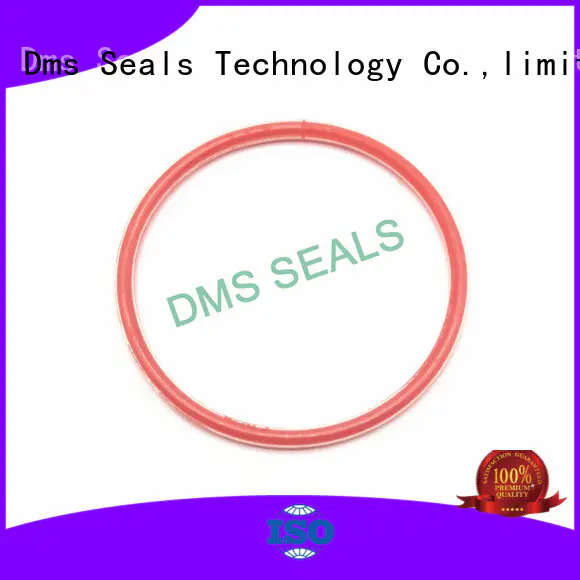 DMS Seal Manufacturer o ring cord manufacturer in highly aggressive chemical processing