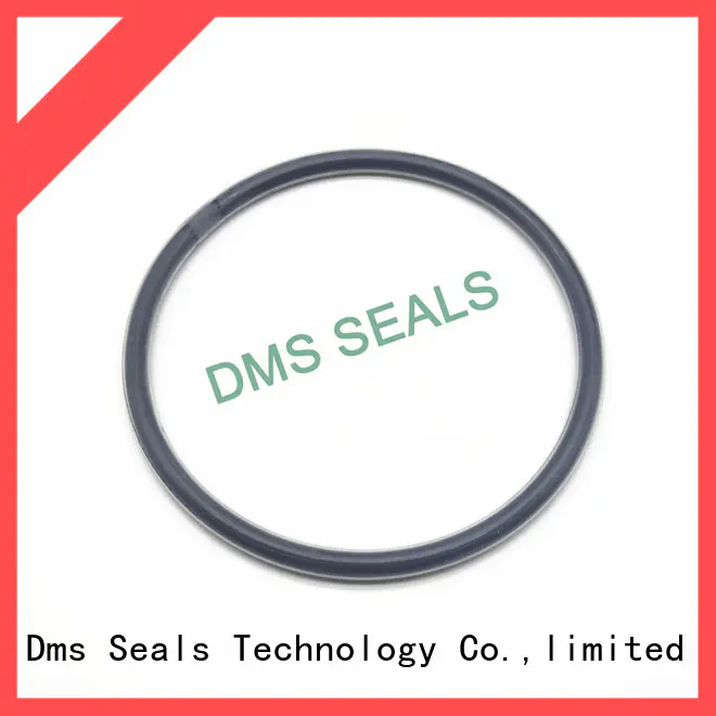 DMS Seal Manufacturer 25mm rubber o rings factory in highly aggressive chemical processing