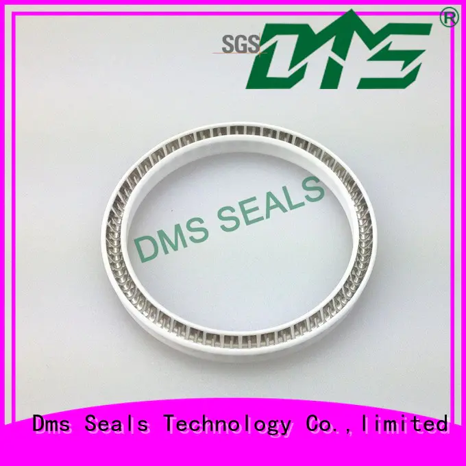 DMS Seal Manufacturer oil seal manufacturer parts for reciprocating piston rod or piston single acting seal