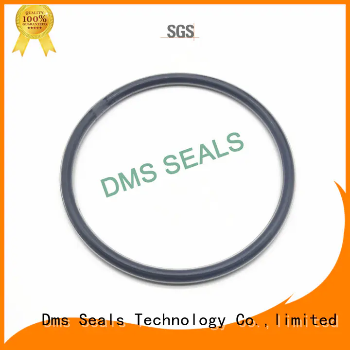DMS Seal Manufacturer Brand spring oil seal ring hydraulic supplier