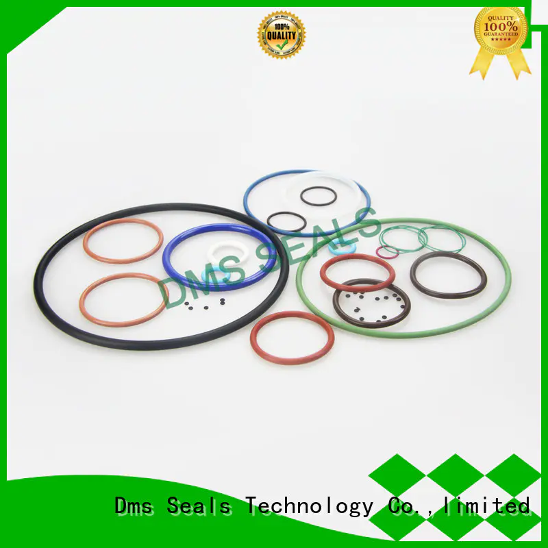 DMS Seal Manufacturer Best o ring gasket suppliers for static sealing