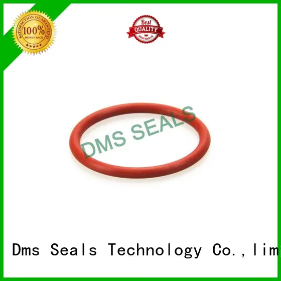 seal o-ring seal ptfe DMS Seal Manufacturer company