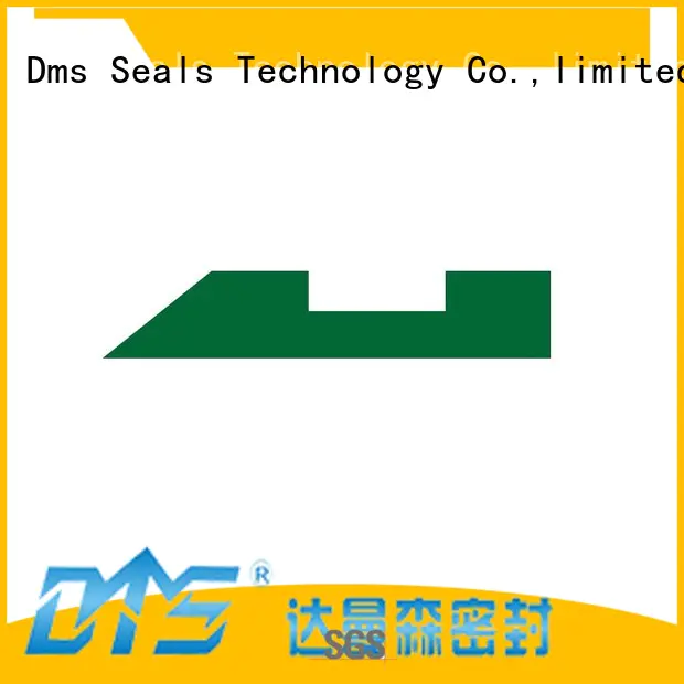 DMS Seal Manufacturer oil seal manufacturer wear ring as the guide sleeve
