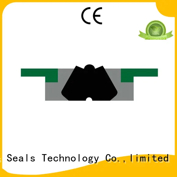 seal hydraulic oring nbrfkm piston seals DMS Seal Manufacturer