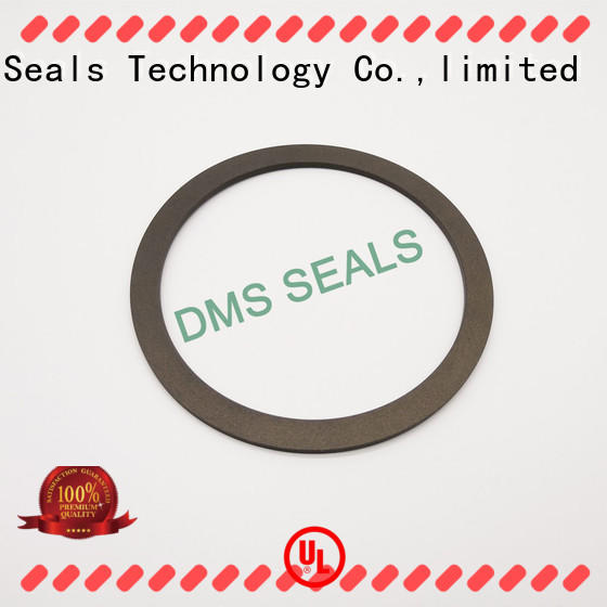 ptfe gasket material ring for liquefied gas DMS Seal Manufacturer