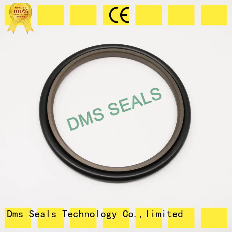 DMS Seal Manufacturer pump seal supplies glyd ring