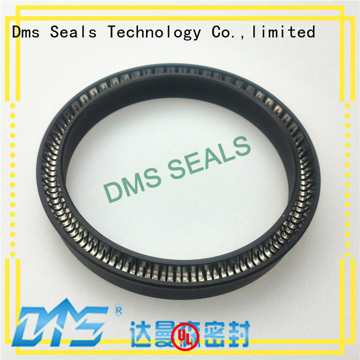 seal ptfe spring energized seals spring DMS Seal Manufacturer Brand