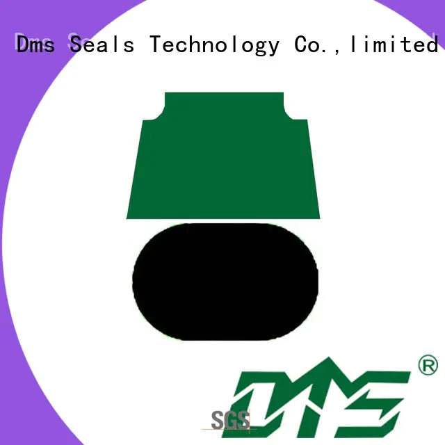 DMS Seal Manufacturer Wholesale hydraulic cylinder piston seals Supply for light and medium hydraulic systems
