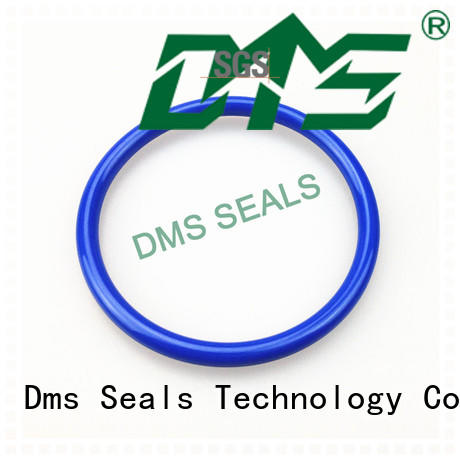 ptfe oil seal ring seal spring DMS Seal Manufacturer Brand