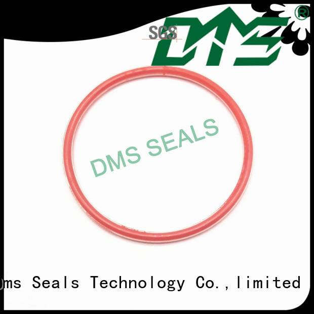 DMS Seal Manufacturer nbr o ring kit manufacturer for sale