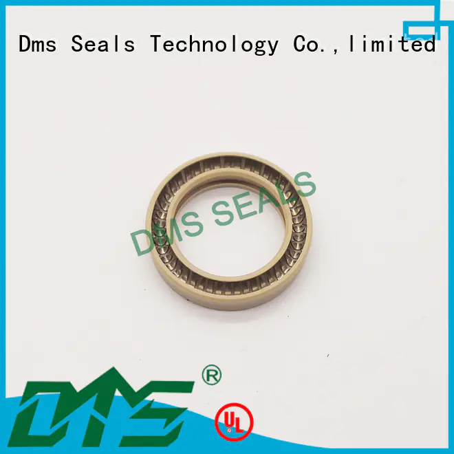 Wholesale seal spring energized seals DMS Seal Manufacturer Brand