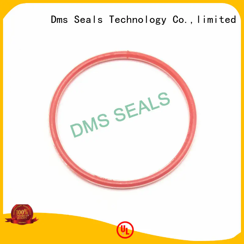 o ring seal manufacturer in highly aggressive chemical processing DMS Seal Manufacturer