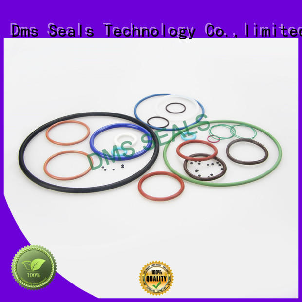 Latest oil seal ring for business in highly aggressive chemical processing