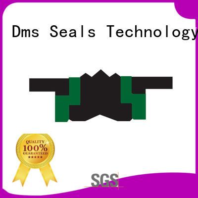 DMS Seal Manufacturer New hydraulic piston seals suppliers glyd ring for pneumatic equipment
