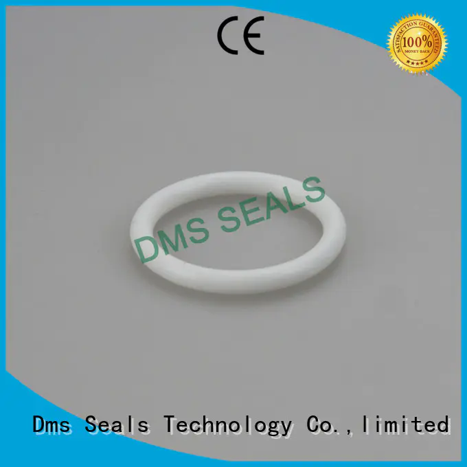 spring seal hydraulic o-ring seal oring DMS Seal Manufacturer