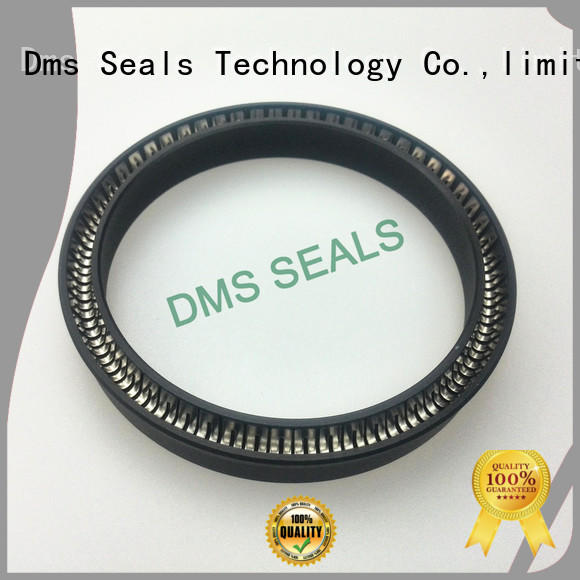 hydraulic oring ptfe spring energized seals DMS Seal Manufacturer