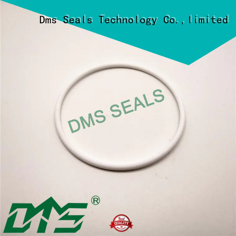 DMS Seal Manufacturer Top rubber o rings ace hardware manufacturers in highly aggressive chemical processing