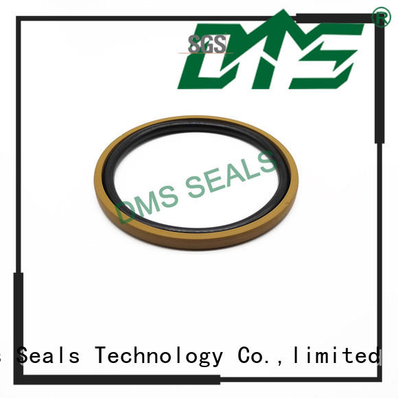 DMS Seal Manufacturer hydraulic oil seal manufacturers with ptfe nbr and pom for light and medium hydraulic systems